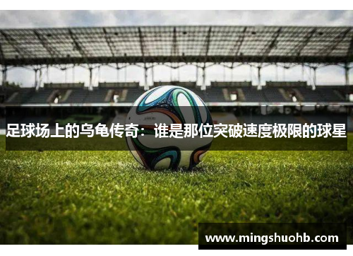 足球场上的乌龟传奇：谁是那位突破速度极限的球星