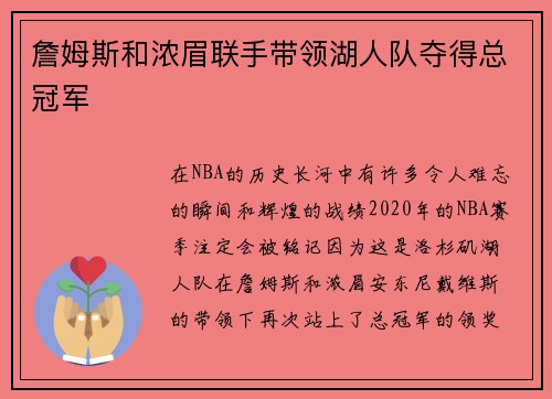 詹姆斯和浓眉联手带领湖人队夺得总冠军